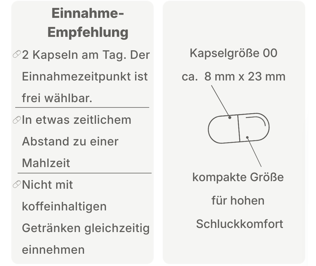 Infografik zur Einnahmeempfehlung und Kapselgröße: zwei Kapseln täglich, Einnahmezeitpunkt frei wählbar, zeitlicher Abstand zu Mahlzeiten empfohlen, nicht mit koffeinhaltigen Getränken einnehmen, Kapselgröße 00 für hohen Schluckkomfort.
