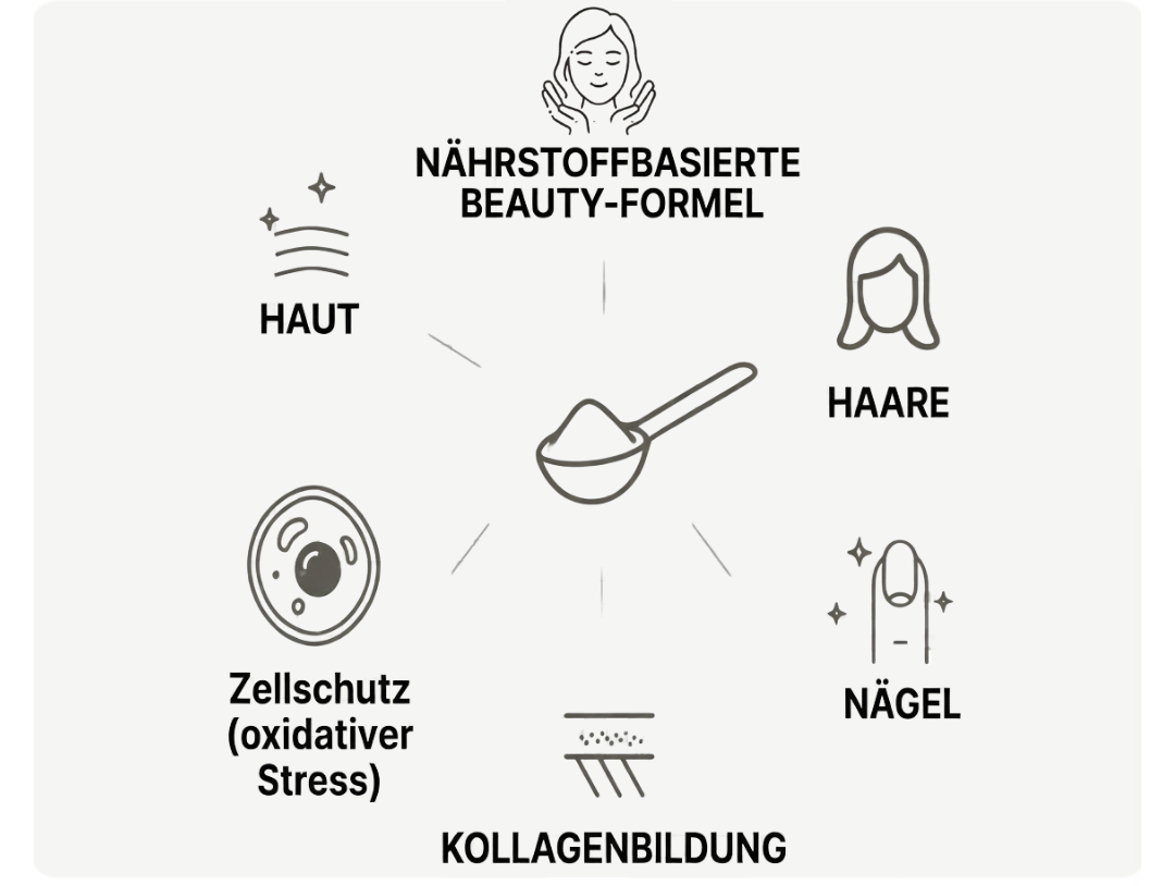 Infografik zur nährstoffbasierten Beauty-Formel mit Symbolen für Haut, Haare, Nägel, Knochen und Kollagenbildung. 