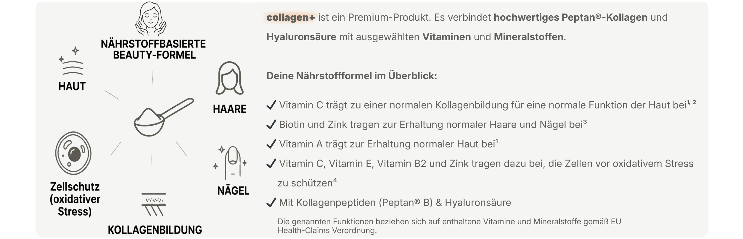 Infografik zur nährstoffbasierten Beauty-Formel von collagen+ mit Symbolen für Haut, Haare, Nägel, Knochen und Kollagenbildung sowie einer zusammenfassenden Übersicht der enthaltenen Nährstoffe.
