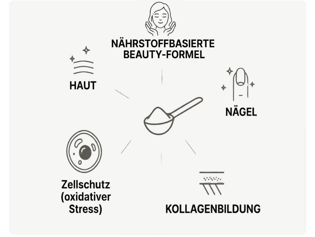 Infografik zur nährstoffbasierten Formel von collagen+ mit Symbolen für Haut, Haare, Nägel, Knochen und Kollagenbildung sowie einer zusammenfassenden Übersicht der enthaltenen Nährstoffe.
